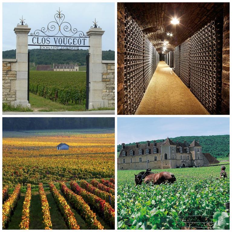 Datcha Bourguignonne Beaune